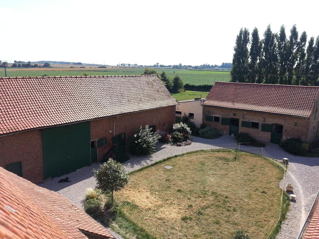 Gite De La Ferme Des Crins Blancs Villa อาซบรูค ห้อง รูปภาพ