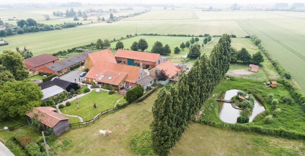 Gite De La Ferme Des Crins Blancs Villa อาซบรูค ภายนอก รูปภาพ